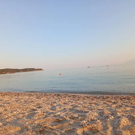 Arto * Pefkari